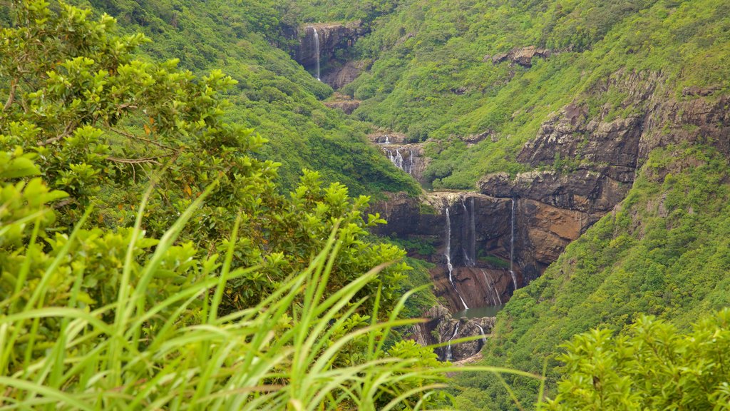 Tamarind Falls showing a waterfall