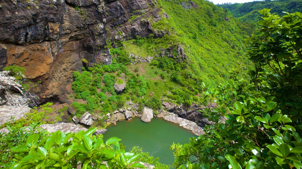 Tamarind Falls ofreciendo un lago o espejo de agua y una garganta o cañón