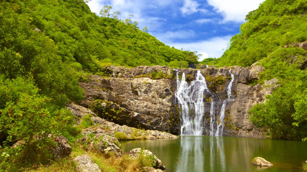 Tamarind Falls featuring a cascade, a gorge or canyon and a lake or waterhole