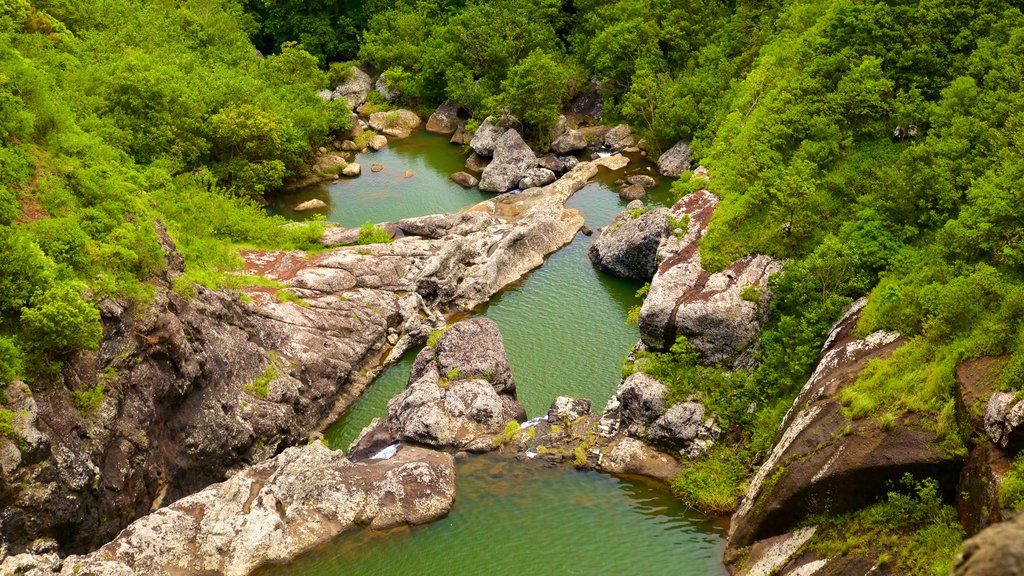 Cataratas Tamarind que inclui um desfiladeiro ou canyon e um lago ou charco