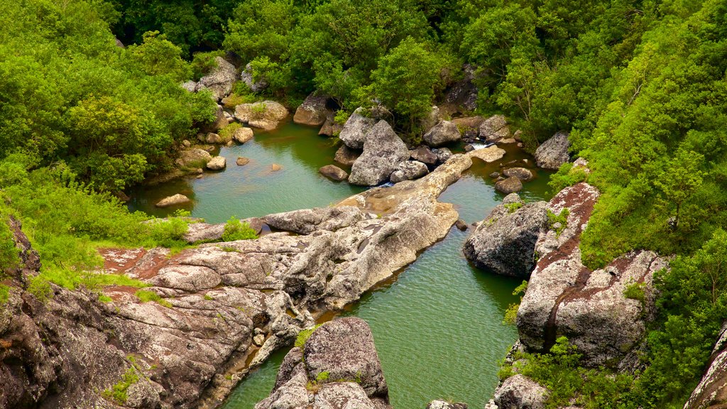 Cataratas Tamarind mostrando um desfiladeiro ou canyon e um lago ou charco