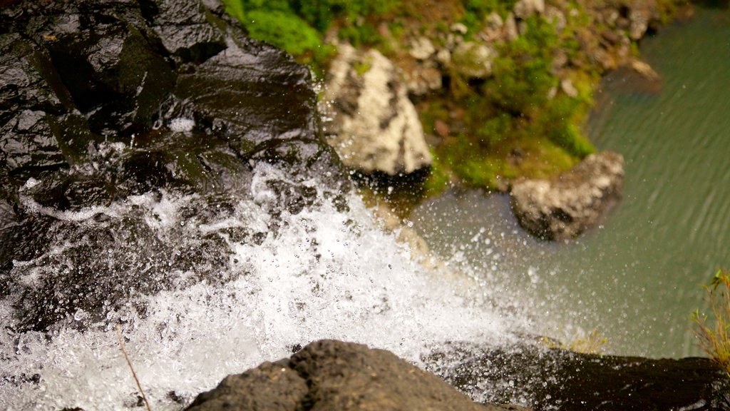 Tamarind Falls featuring a lake or waterhole, a waterfall and a gorge or canyon