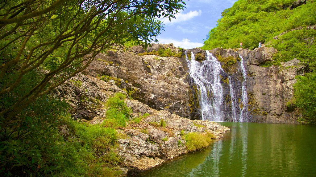 Tamarind Falls que incluye un barranco o cañón, una cascada y un lago o abrevadero