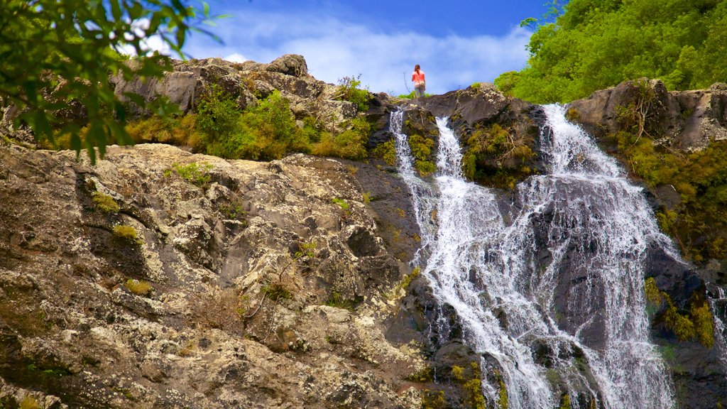 Tamarind Falls which includes a gorge or canyon and a waterfall