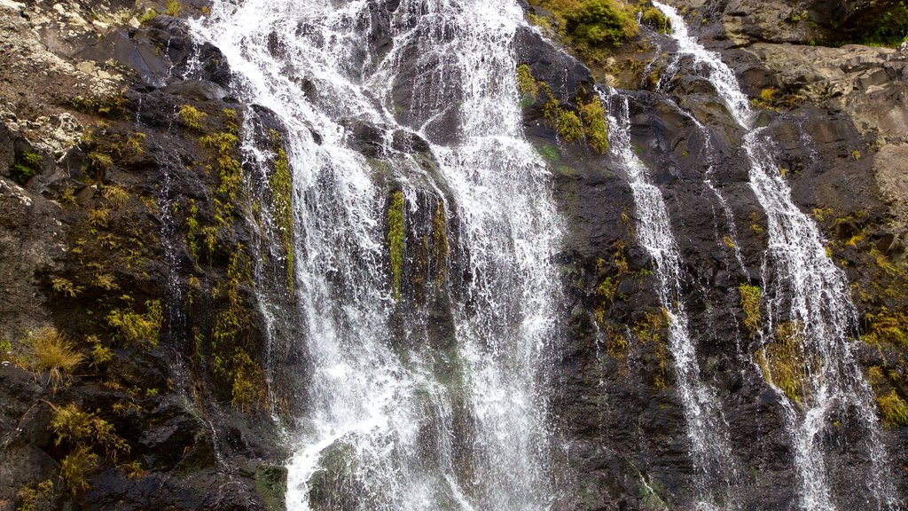 Watervallen Tamarind toont een waterval