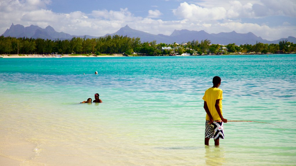 Pieter Both Mountain showing a sandy beach as well as a small group of people