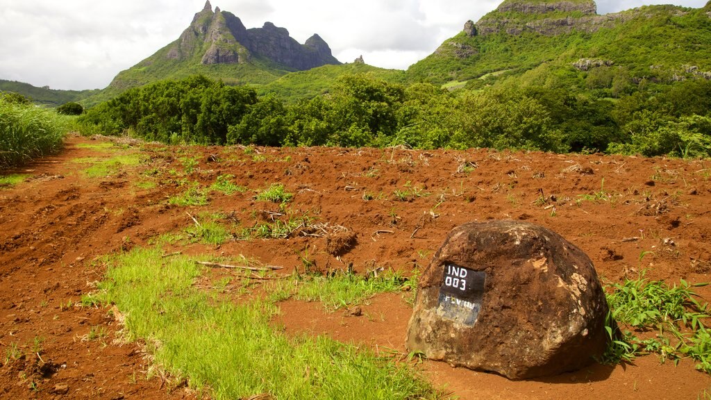 Pieter Both Mountain which includes tranquil scenes and mountains