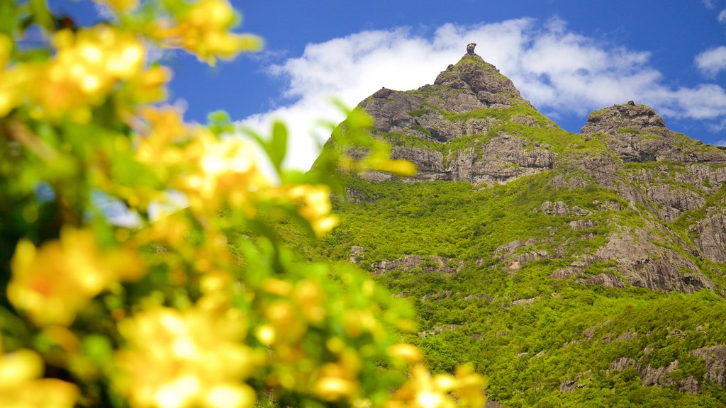 Pieter Both Mountain which includes mountains