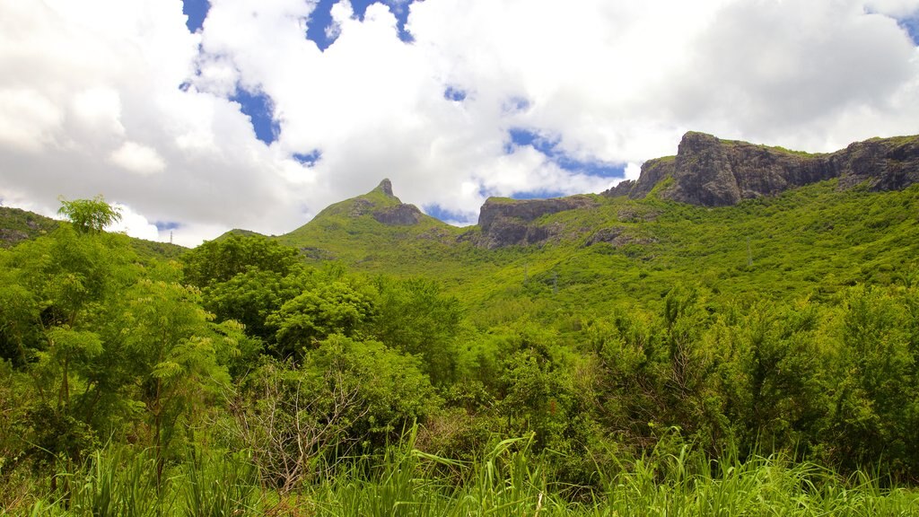 Pieter Both Mountain featuring mountains and tranquil scenes