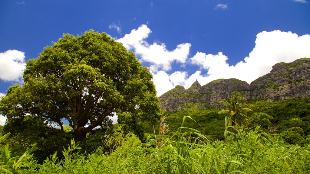 Pieter Both Mountain which includes tranquil scenes and mountains