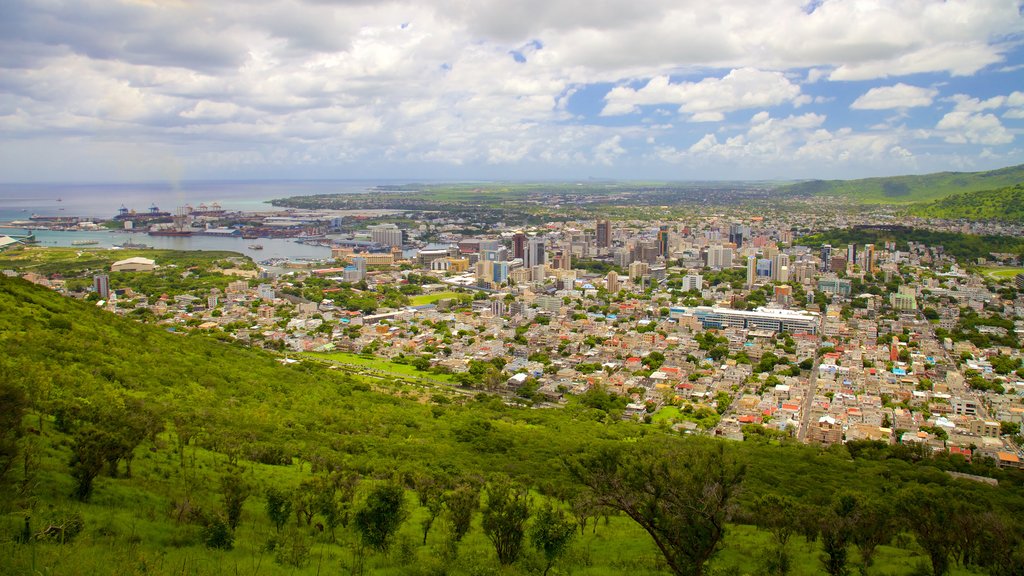 Mauritius showing a city and landscape views