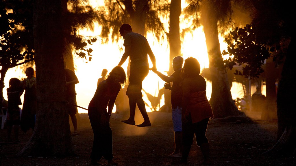 Reunion showing a sunset as well as a small group of people