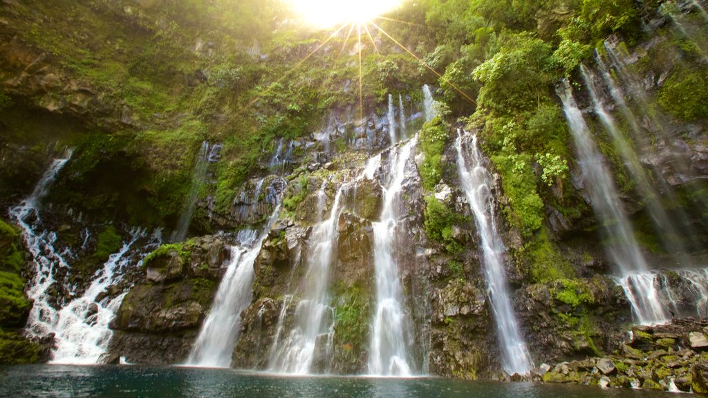 Reunion featuring a lake or waterhole and a waterfall