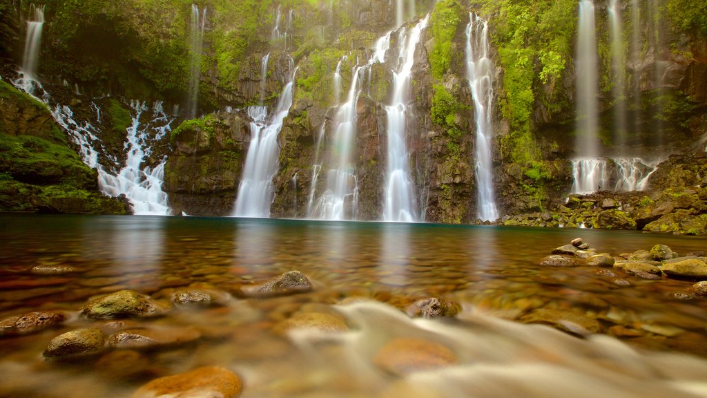 Reunion which includes a cascade and a lake or waterhole