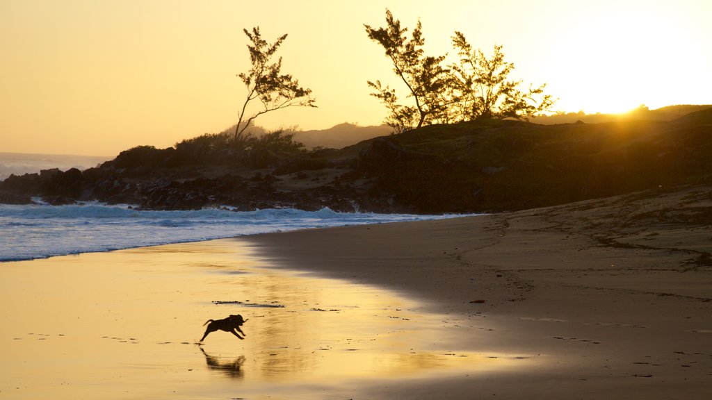 Saint-Pierre showing a sunset and a beach