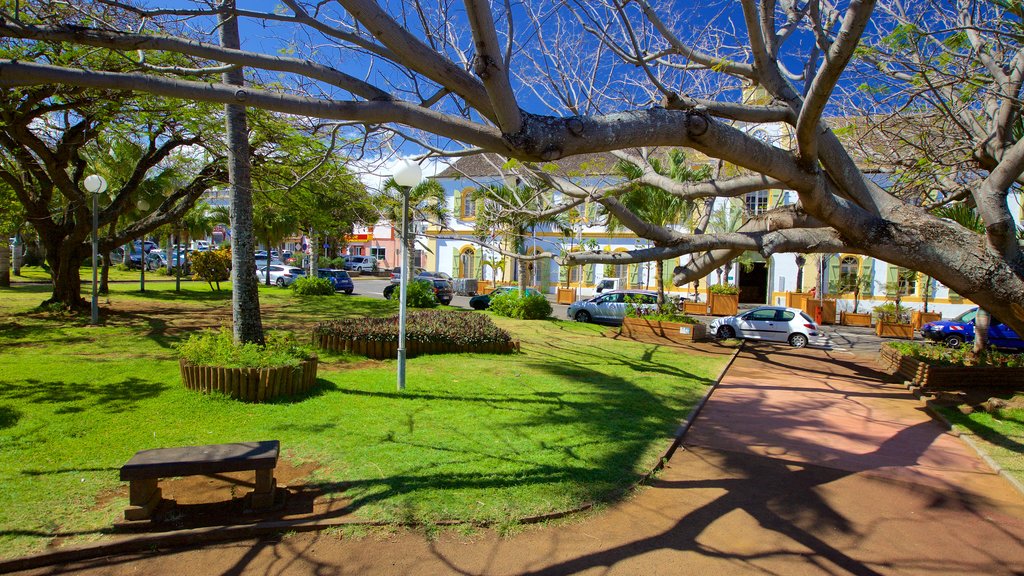 Saint-Pierre featuring a garden