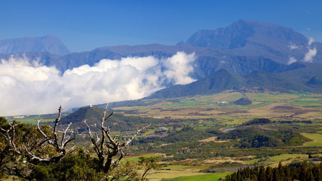 Piton de la Fournaise showing tranquil scenes and landscape views