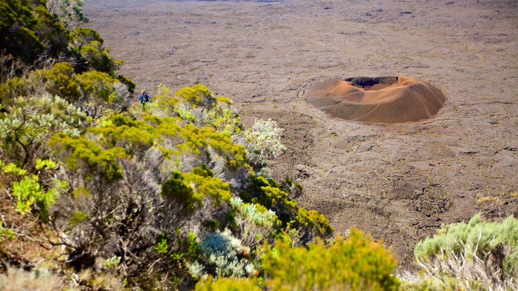 Piton de la Fournaise mostrando escenas tranquilas