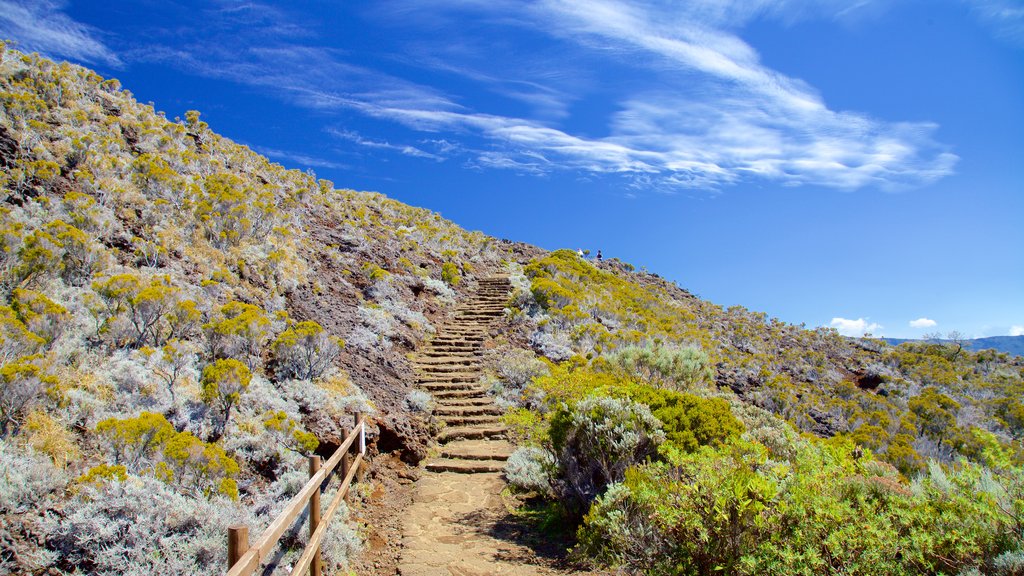 Piton de la Fournaise johon kuuluu rauhalliset maisemat