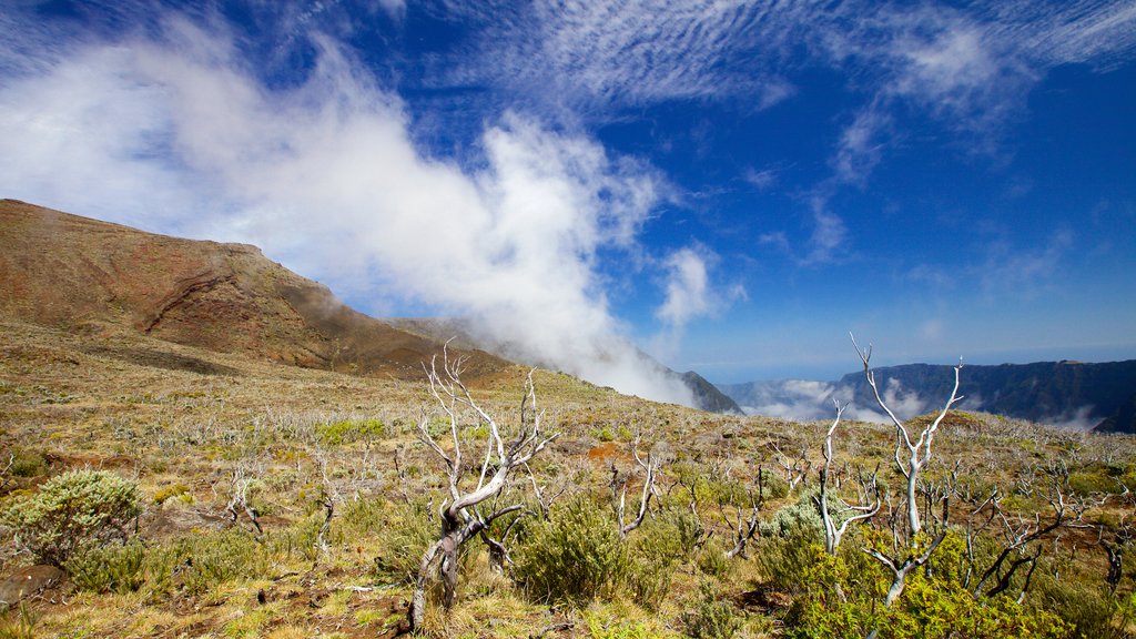 Piton de la Fournaise showing tranquil scenes