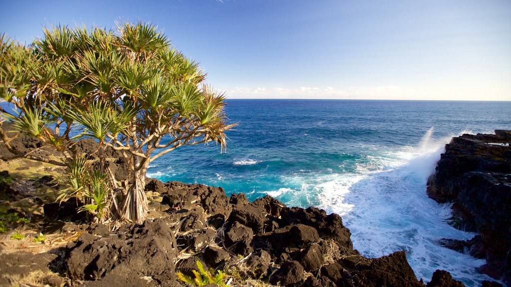 Cape Mechant showing rocky coastline