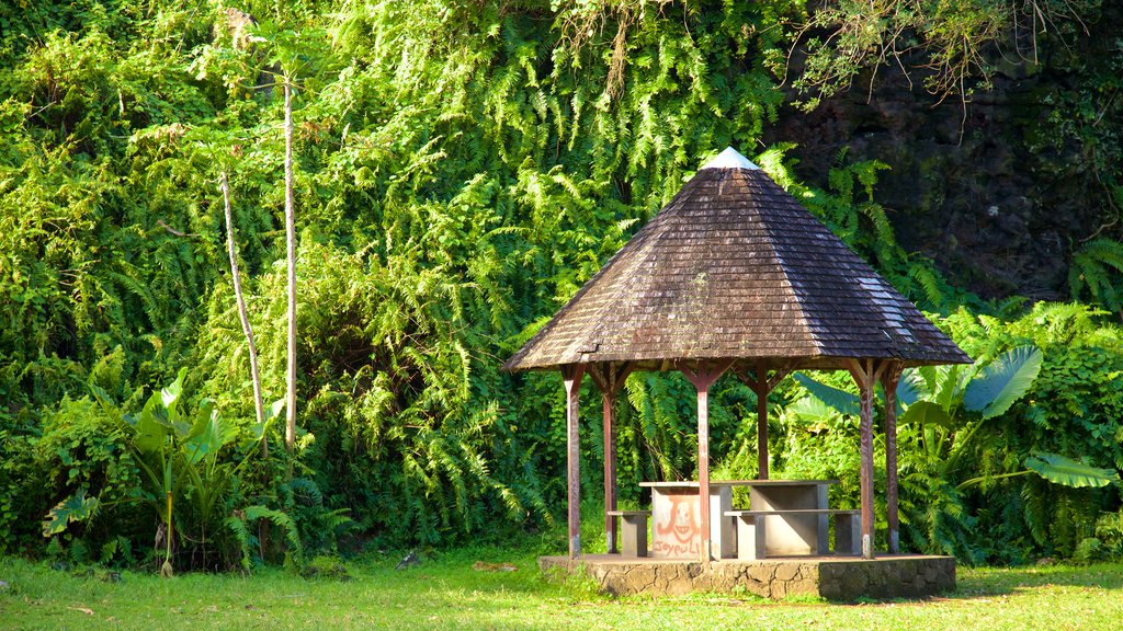 Cape Mechant showing a garden