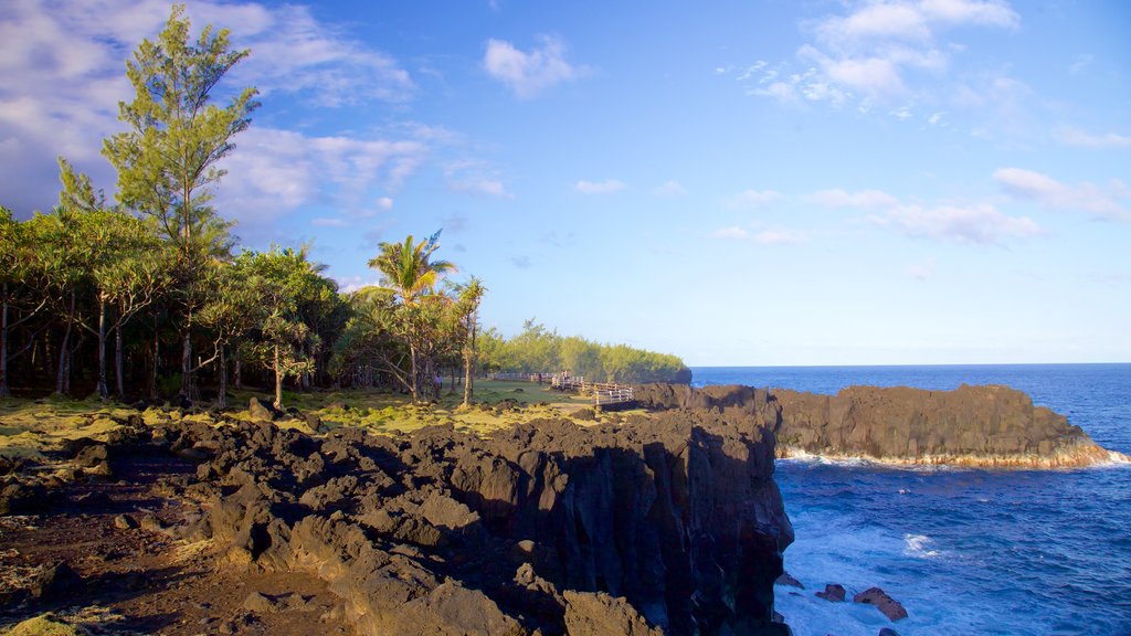 Cape Mechant which includes rugged coastline and a garden