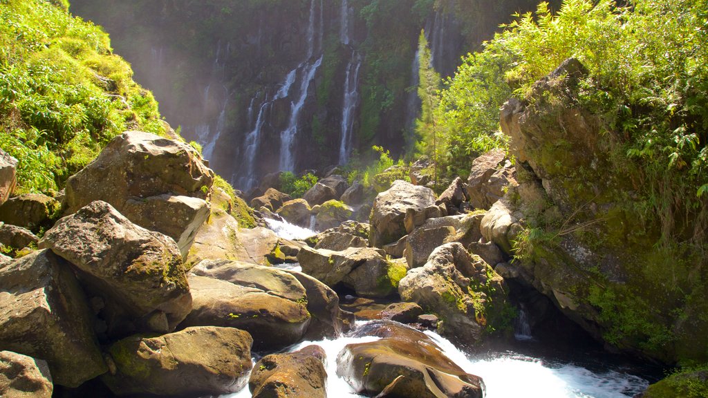 Réunion inclusief een rivier of beek