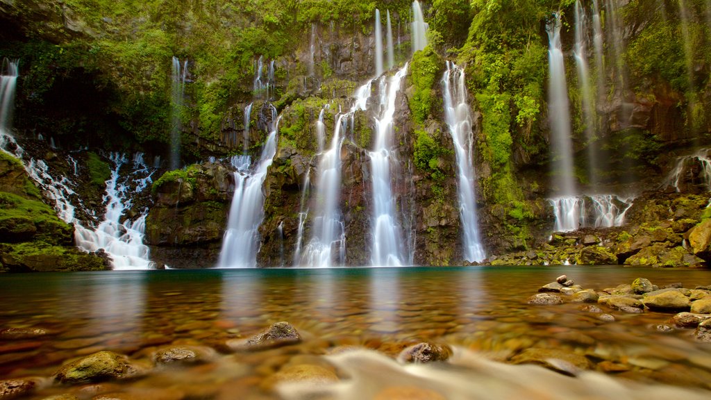 Reunion showing rainforest, a lake or waterhole and a cascade