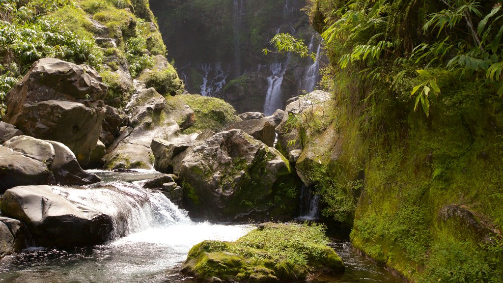 Reunion featuring a river or creek