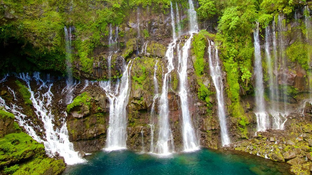 Reunion featuring a lake or waterhole and a waterfall