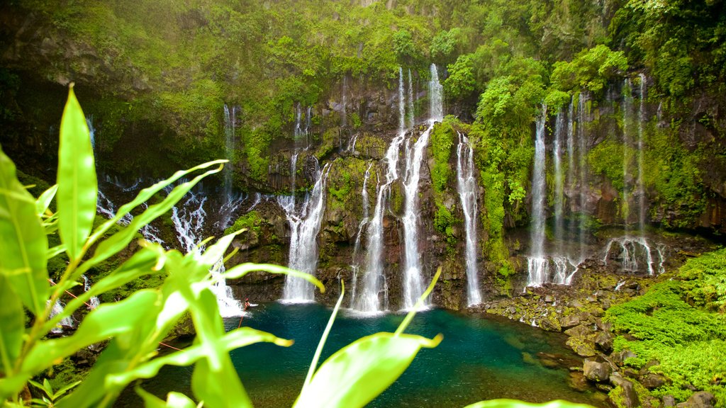 Reunion showing a lake or waterhole and a waterfall