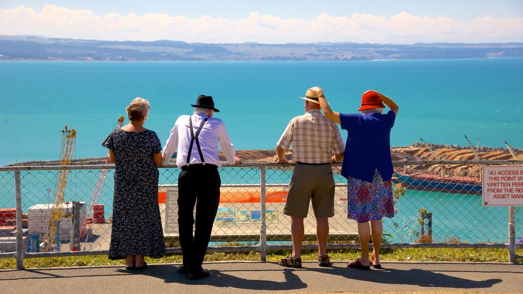 Bluff Hill Domain Lookout showing general coastal views as well as a small group of people