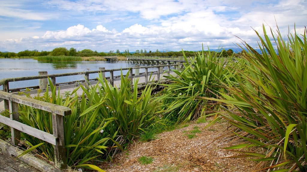 Turangi featuring a lake or waterhole and a garden