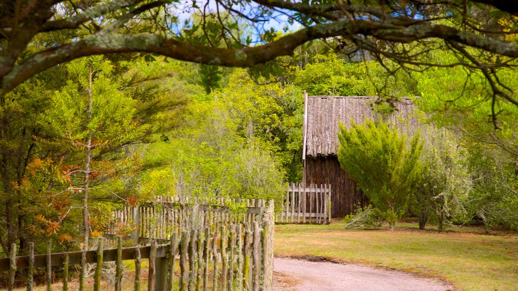 Wairakei ofreciendo imágenes de bosques y jardín