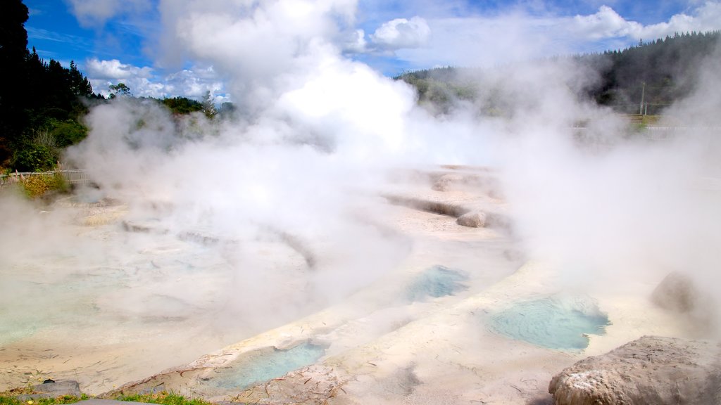 Wairakei featuring a hot spring and mist or fog