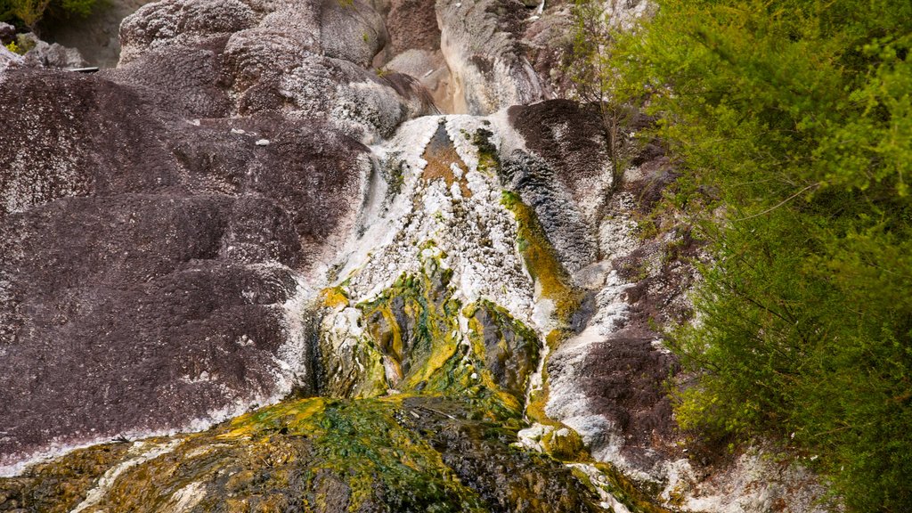 Cueva y parque geotérmico de Orakei Korako