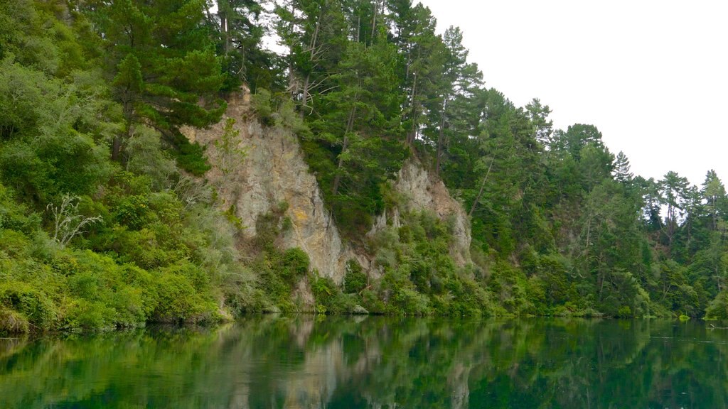 Cueva y parque geotérmico de Orakei Korako ofreciendo un río o arroyo y imágenes de bosques