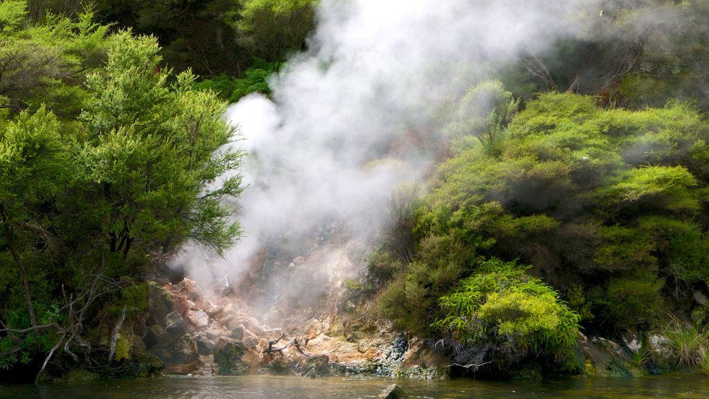 Cueva y parque geotérmico de Orakei Korako ofreciendo niebla o neblina y un río o arroyo