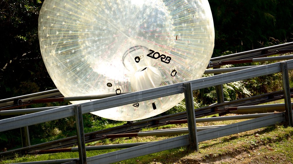 Zorb , Rotorua, Nueva Zelanda