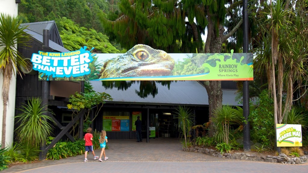 Parque Reserva del Kiwi de Rainbow Springs que incluye animales del zoológico