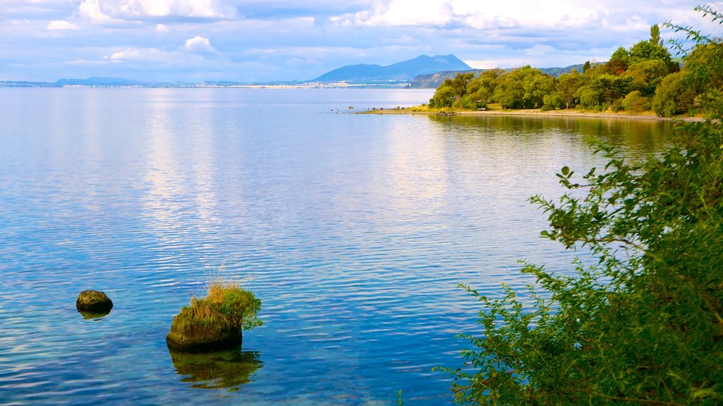 Taupo caracterizando um lago ou charco