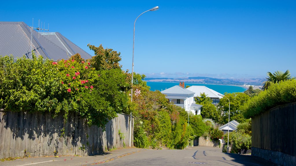 Bluff Hill Domain Lookout which includes general coastal views