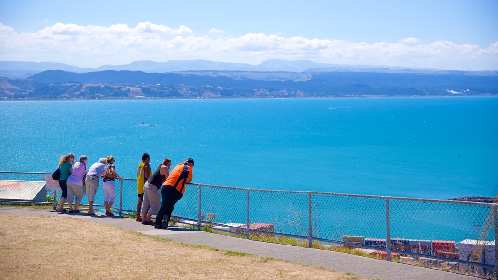 Bluff Hill Domain Lookout showing views and general coastal views as well as a small group of people