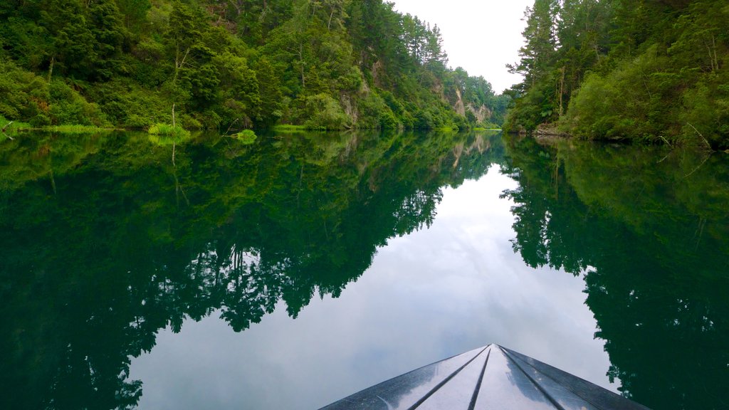 Orakei Korako Geothermal Park and Cave which includes a river or creek and forest scenes