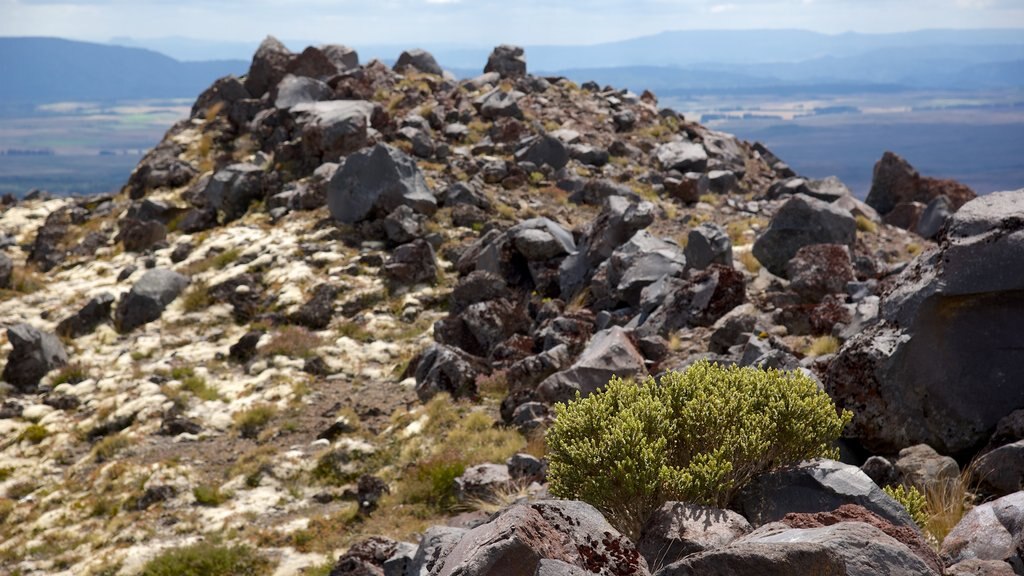 Turangi which includes tranquil scenes and landscape views