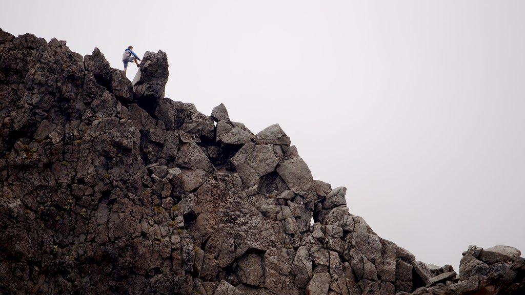 Turangi mostrando montañas y también un hombre