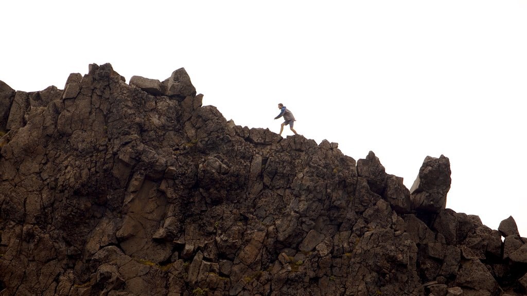 Turangi showing mountains as well as an individual male