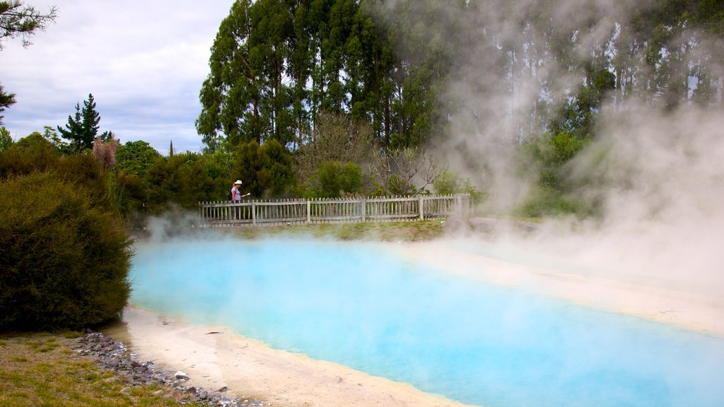 Wairakei mettant en vedette une source chaude