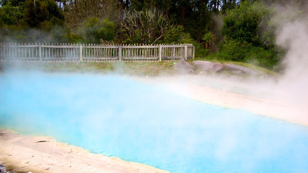 Wairakei showing a hot spring